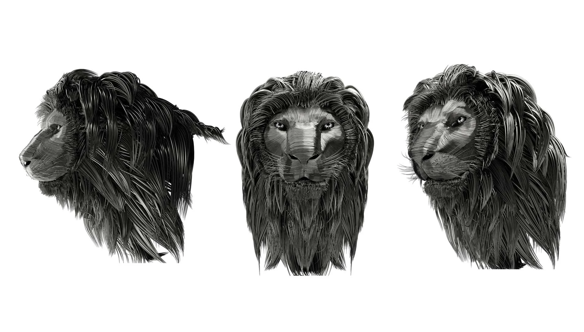 Three black and white images showcasing detailed lion heads Three black and white images showcasing detailed lion heads
